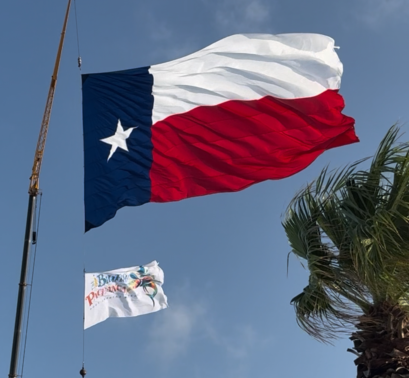LIVE UPDATES: The Billfish Pachanga