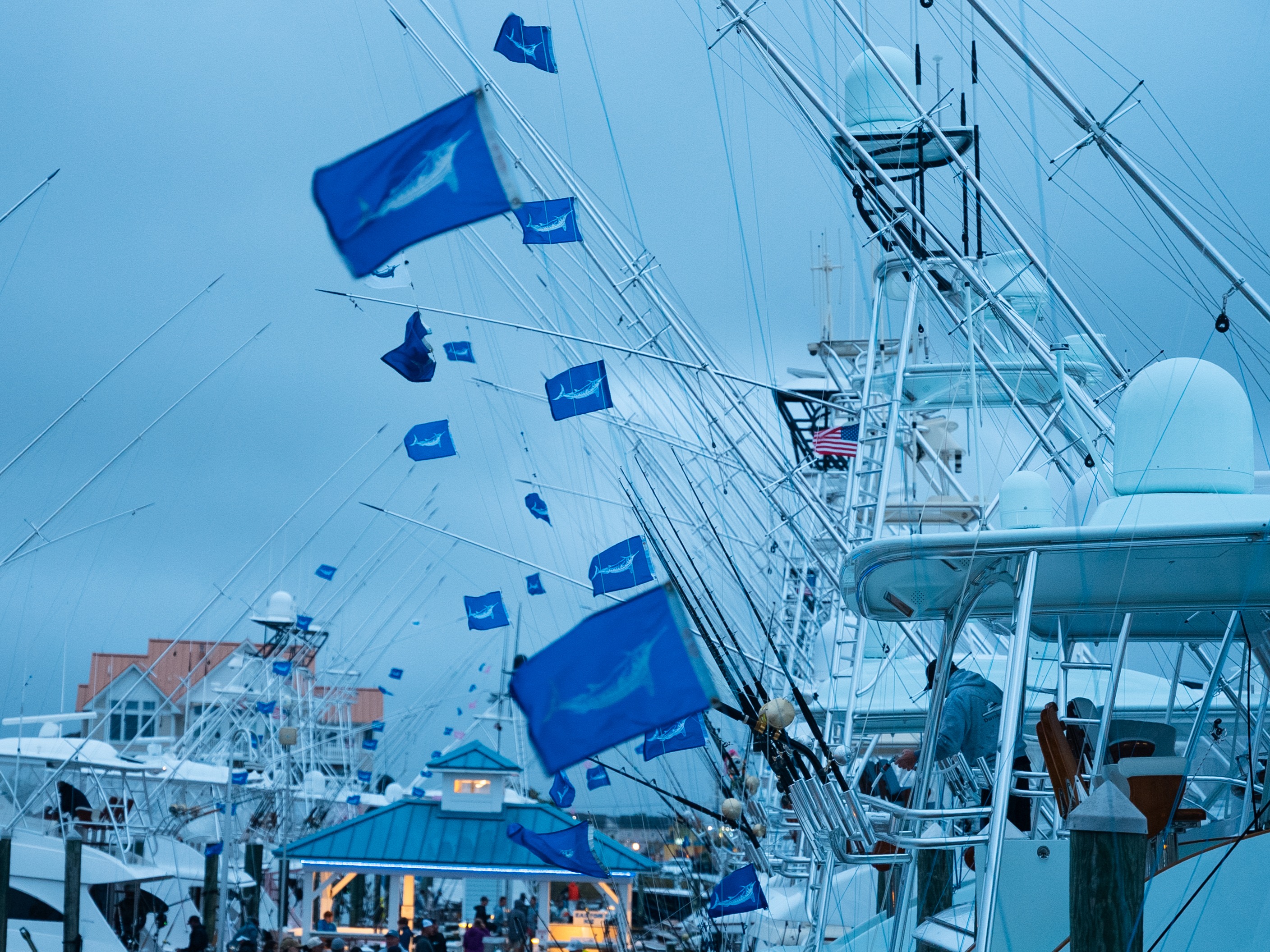 LIVE UPDATES: THE MIDATLANTIC