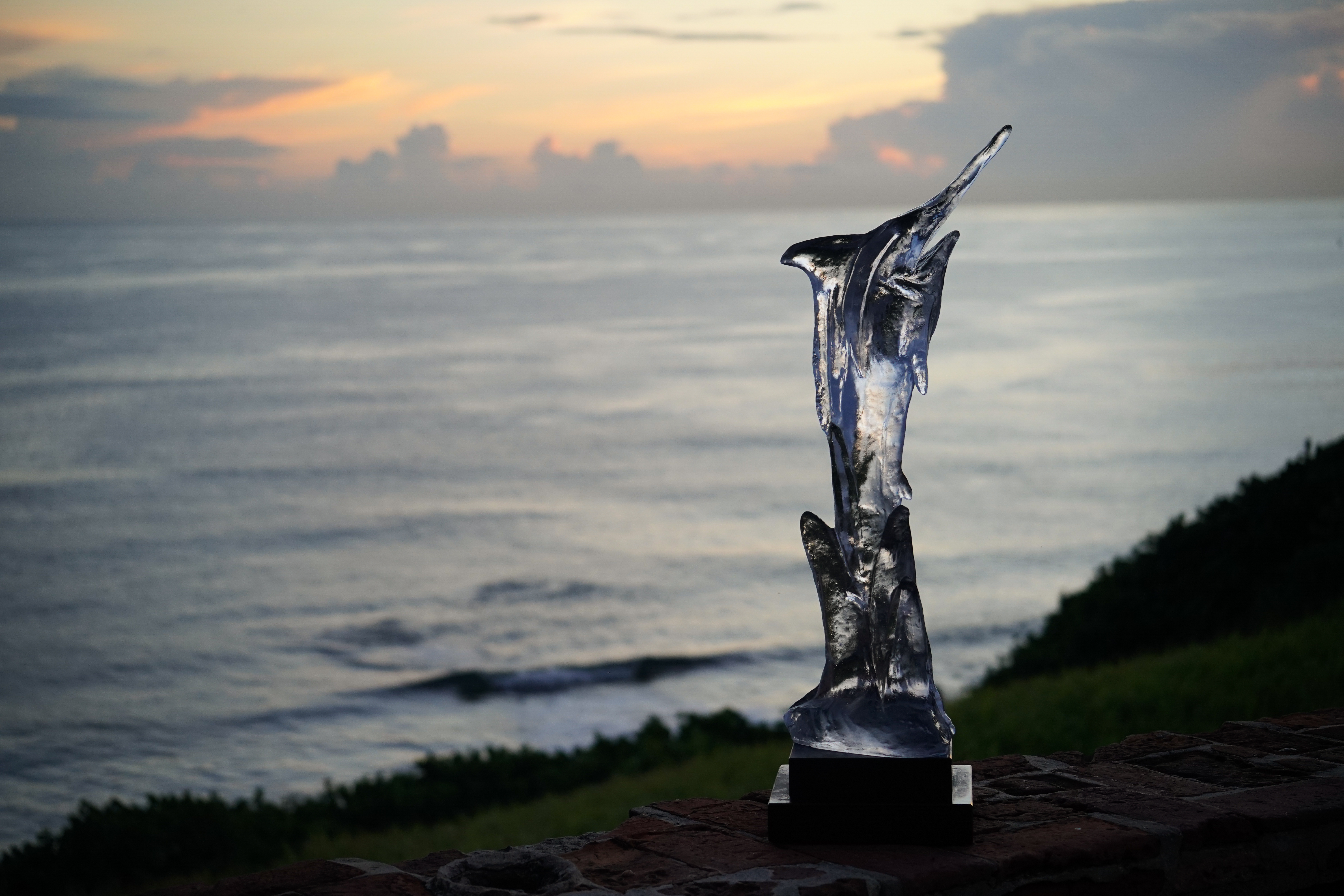 Mark Your Calendars: SFC Unveils its 2026 Competition Schedule