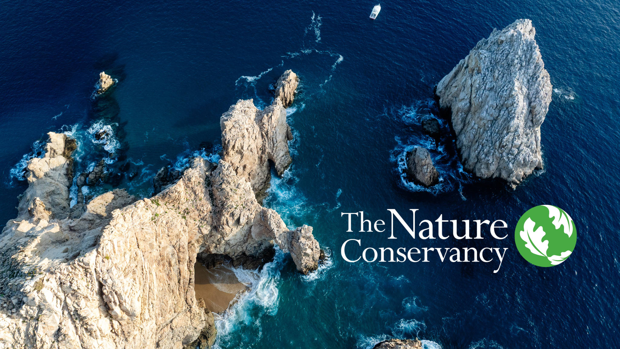 SFC Welcomes The Nature Conservancy as Community Champion