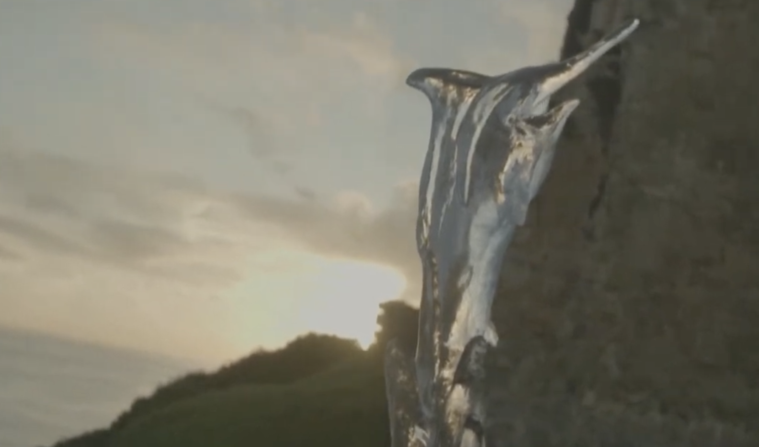 2022 SFC - IBT, SAN JUAN, PR DAY 3 AFTERNOON