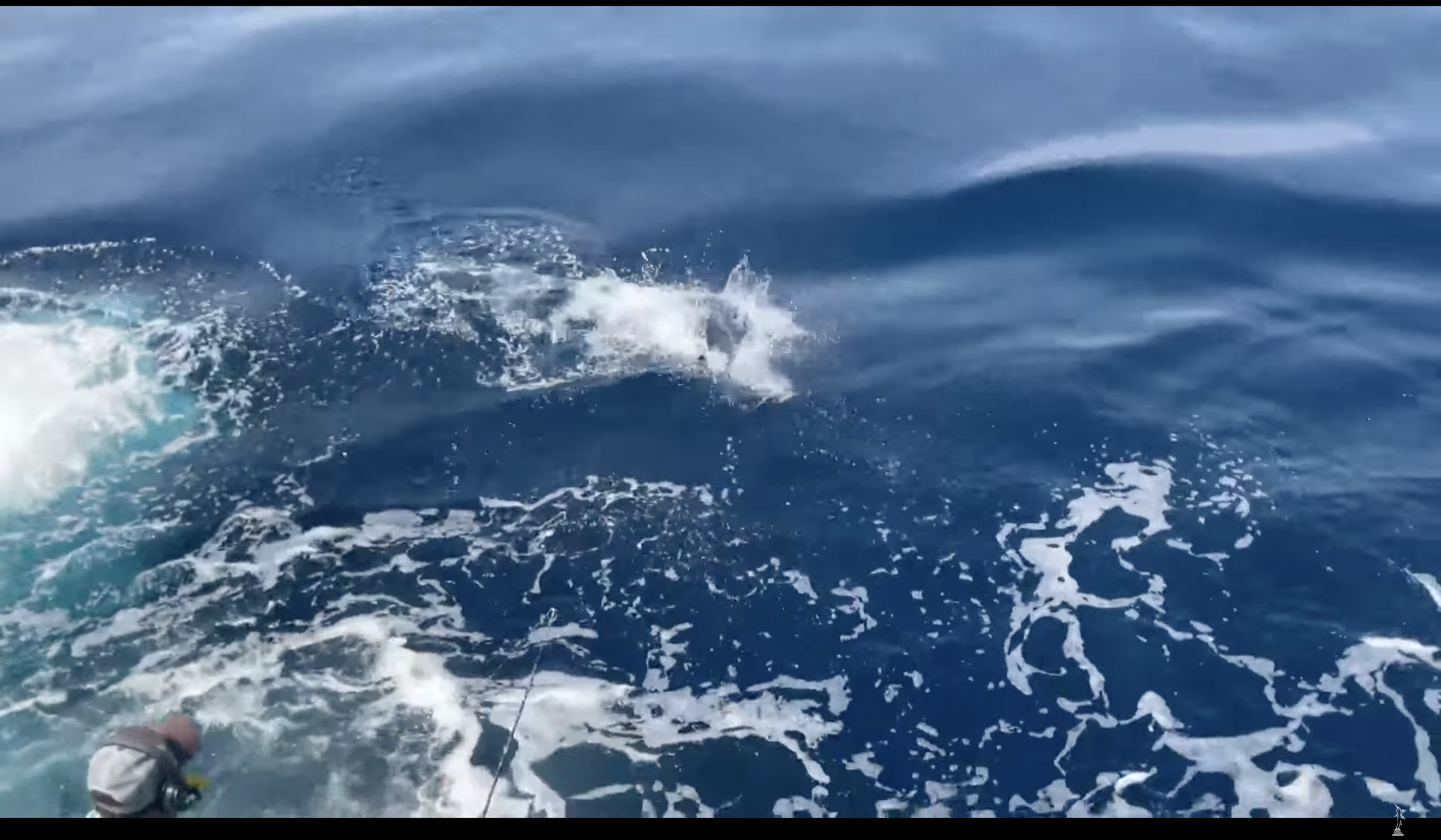 Day 1 - EMERALD COAST BLUE CLASSIC PRE SHOW- 2023 Sport Fishing Championship