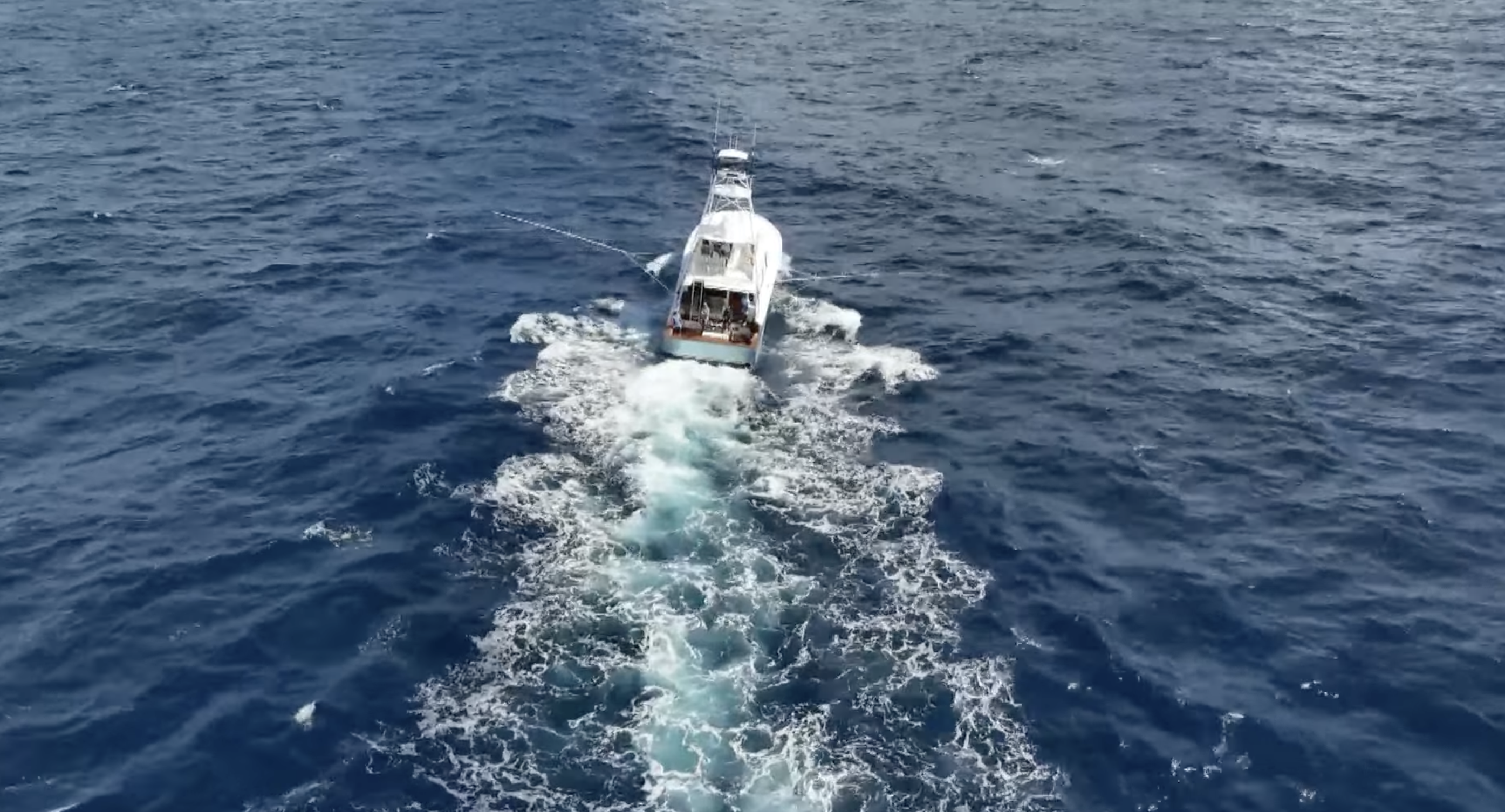 Day 2 - EMERALD COAST BLUE MARLIN CLASSIC - PRE SHOW - 2023 Sport Fishing Championship