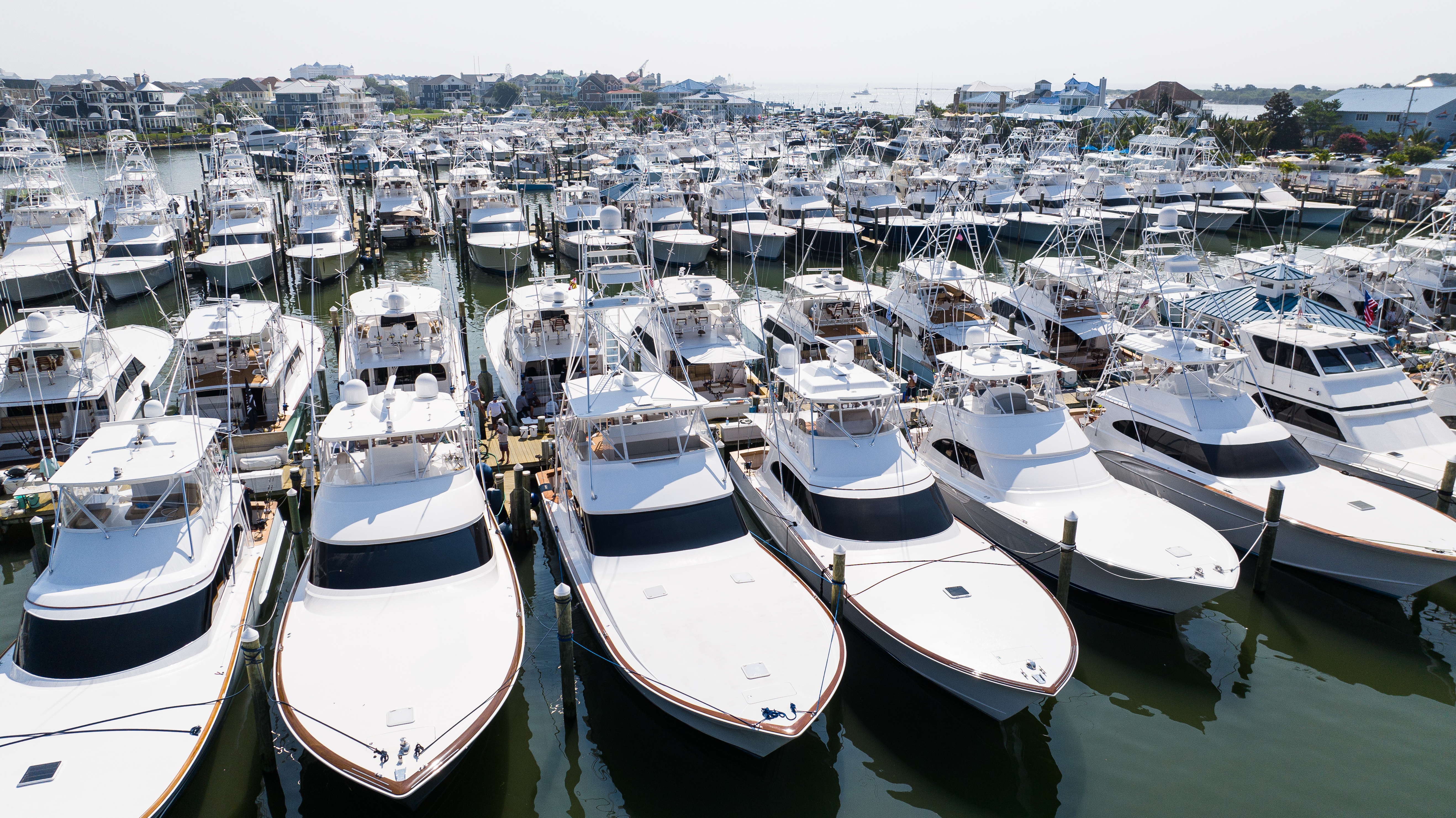 SPORT FISHING CHAMPIONSHIP HAS BEGUN PENULTIMATE TOURNAMENT IN OCEAN CITY